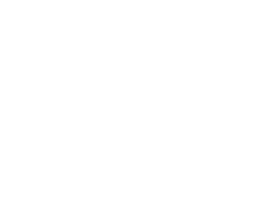 THE BAGUS PLACE